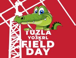 Field Days